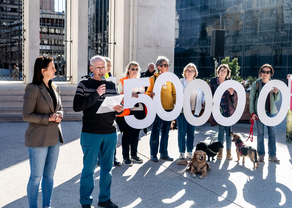 Bellen gegen Böllern